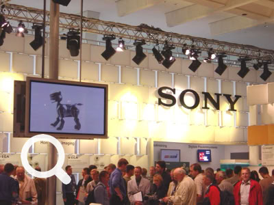 Mit guter Laune sind wir um 5.00 Uhr früh lossgefahren ...